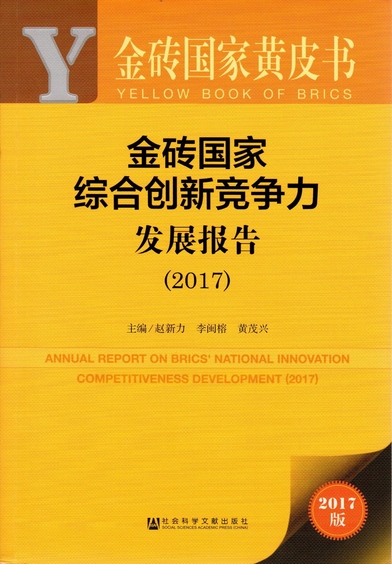 姑娘被操套扫逼爽死了爽水逼岁金砖国家综合创新竞争力发展报告（2017）